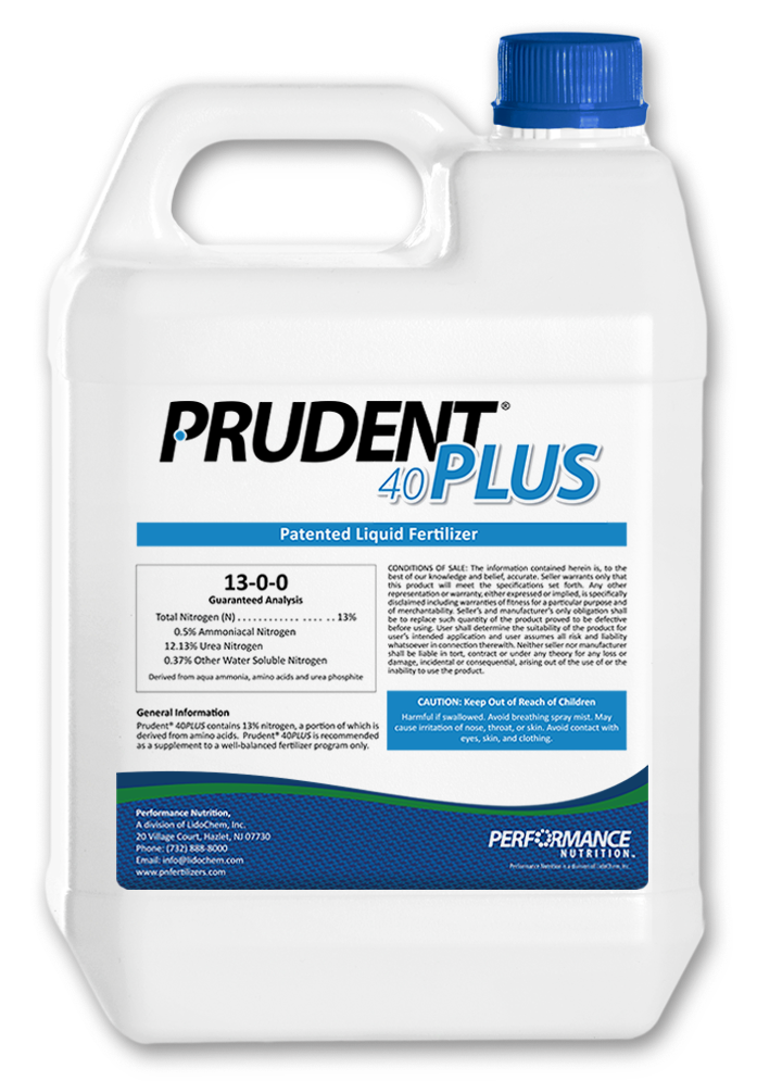 , Prudent 40Plus T & O