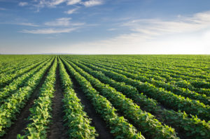 , Increase of 5 Bushels Per Acre with Hype