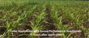 , Even With Wet Weather, Foliar Apps Increase Crop Vigor