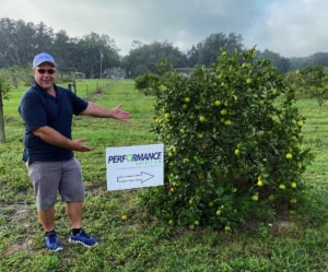 , CITRUS GREENING RECOVERY PROGRAM IN ACTION