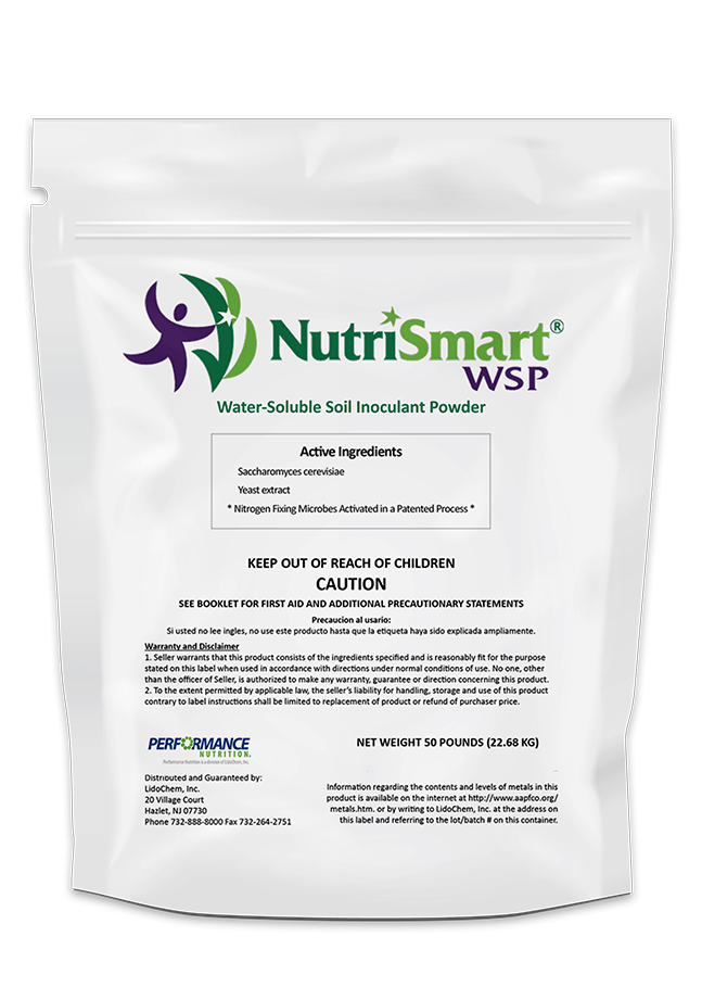 Read more about the article NutriSmart-WSP