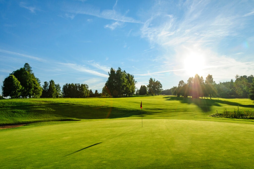 Read more about the article From Summer Stress to Success: <br>The Performance Soil Treatment