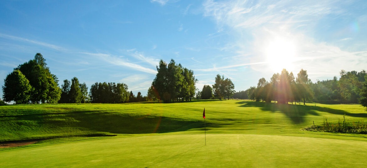 Summer Stress Turf, From Summer Stress to Success: <br>The Performance Soil Treatment