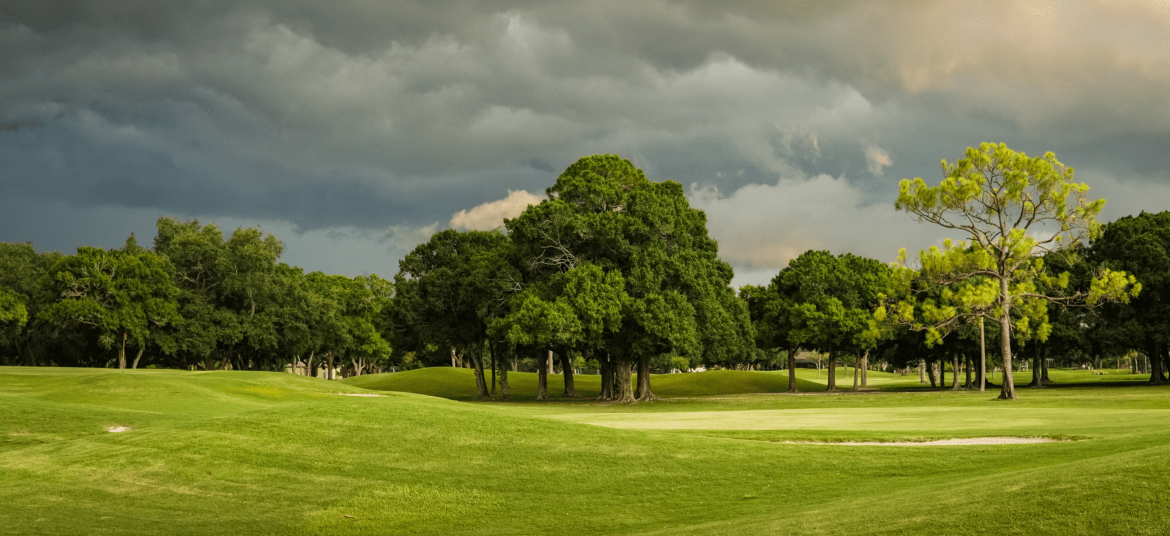 Winter Turf Management in the South East, Navigating Winter Turf Management in the Southeast