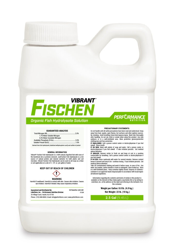 Read more about the article Vibrant Fischen