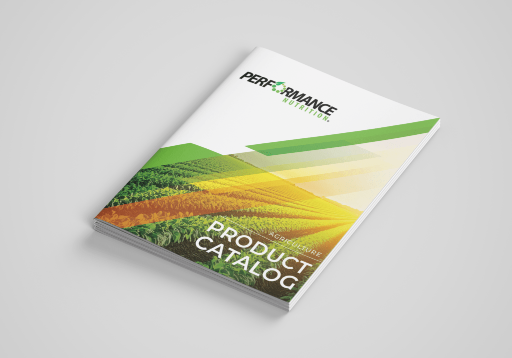 , Product Catalogs