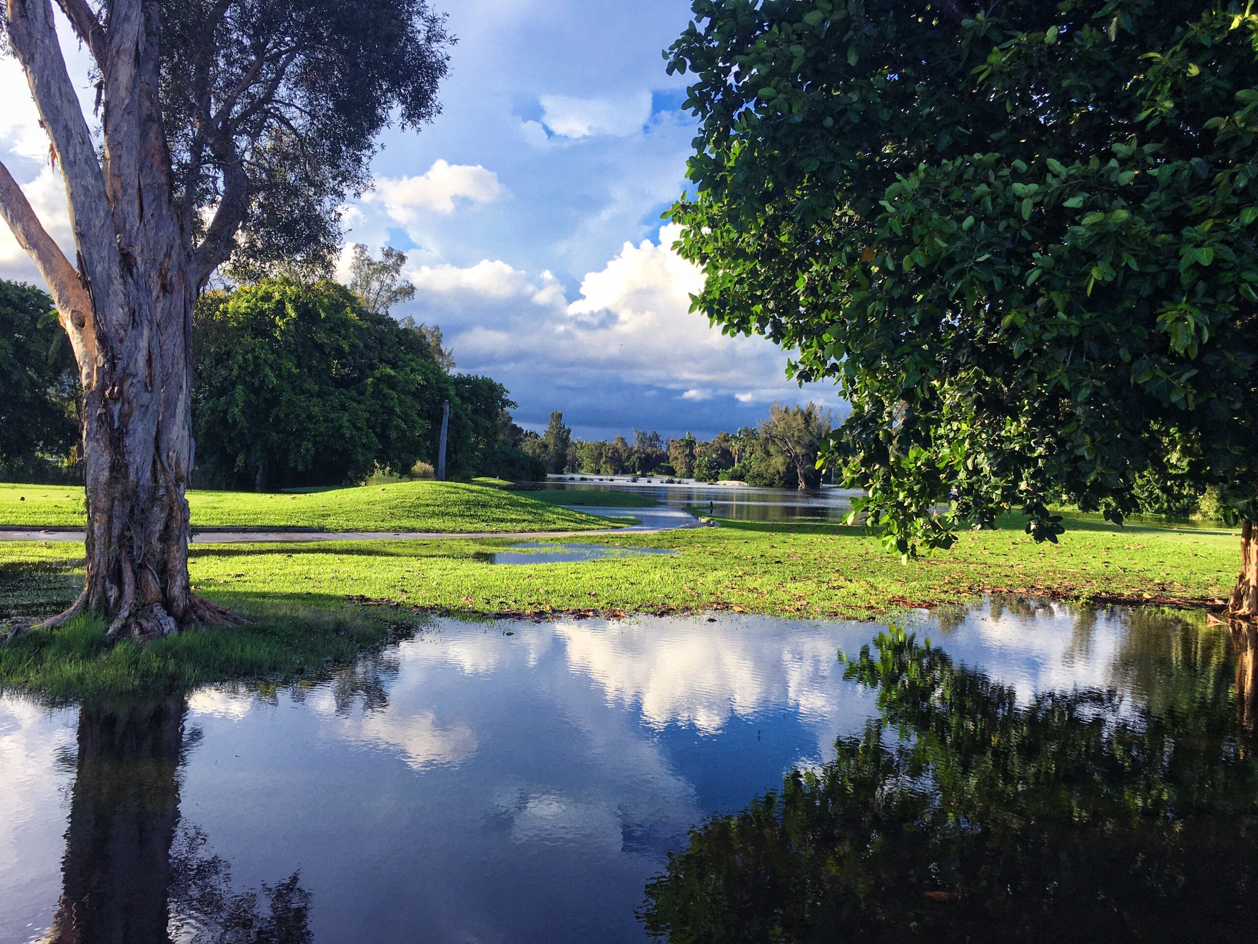 golf course flood