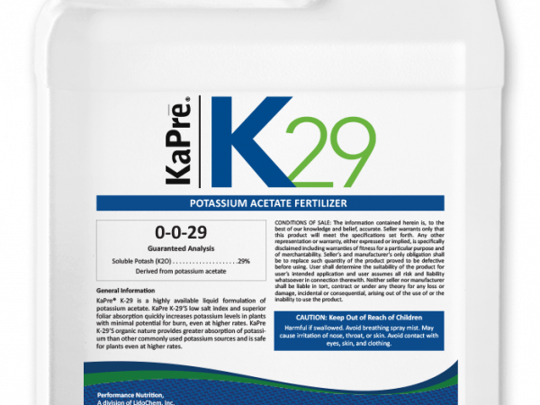 K29_Jug_Front K29_Jug_Front